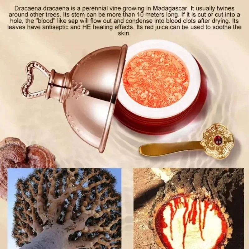 Dragon's Blood Face Cream Retinol Placenta Essence Brightening Lift Firming Skin Care Korean Cosmetics by PETAL & GLOW